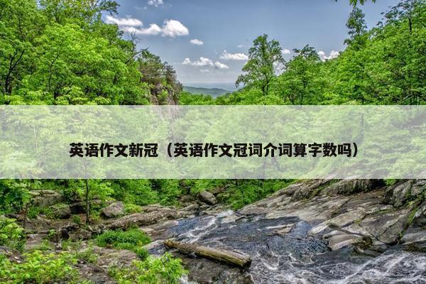 英语作文新冠(英语作文冠词介词算字数吗)