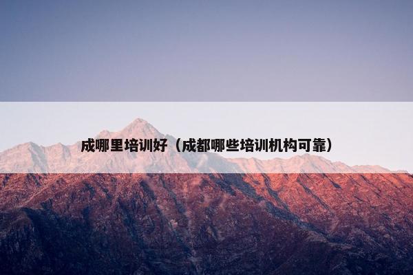 成哪里培训好（成都哪些培训机构可靠）