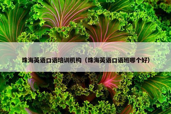 珠海英语口语培训机构(珠海英语口语班哪个好)