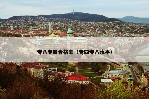 专八专四合格率(专四专八水平)