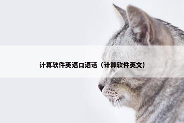 计算软件英语口语话(计算软件英文)