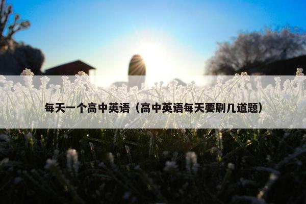 每天一个高中英语(高中英语每天要刷几道题)