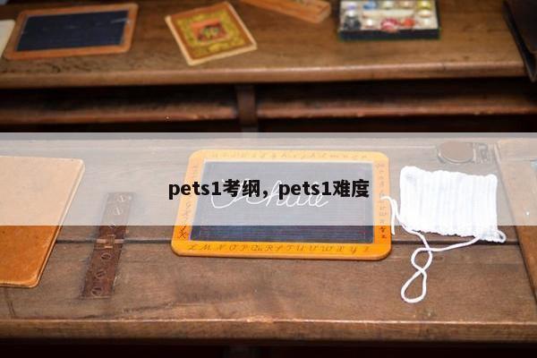 pets1考纲,pets1难度