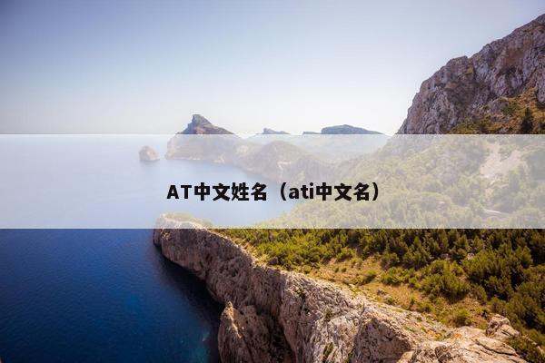 AT中文姓名(ati中文名)
