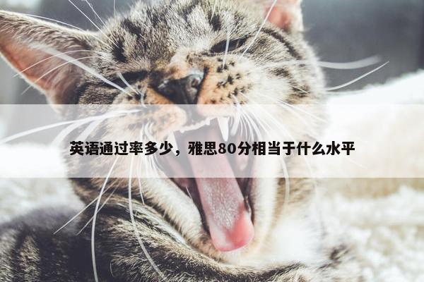 英语通过率多少,雅思80分相当于什么水平