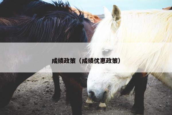 成绩政策(成绩优惠政策)