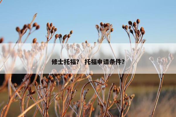 修士托福? 托福申请条件?