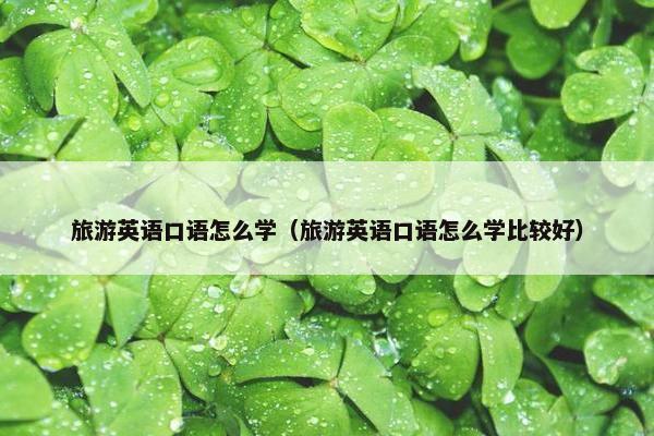 旅游英语口语怎么学(旅游英语口语怎么学比较好)