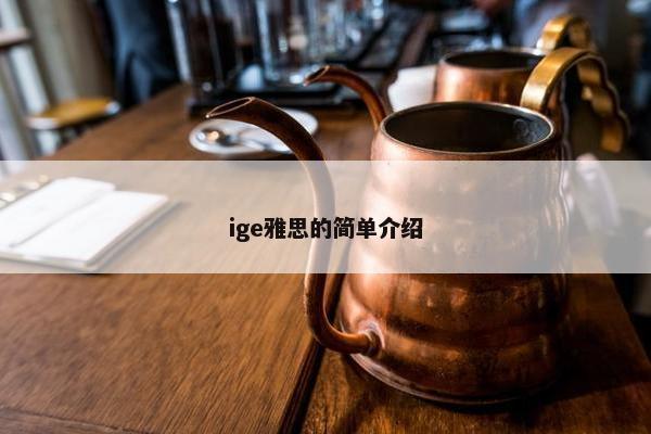 ige雅思的简单介绍