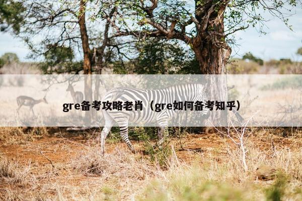 gre备考攻略老肖(gre如何备考知乎)