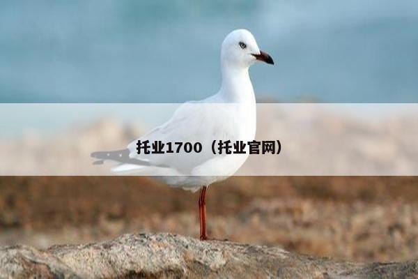 托业1700(托业官网)