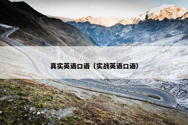 真实英语口语(实战英语口语)