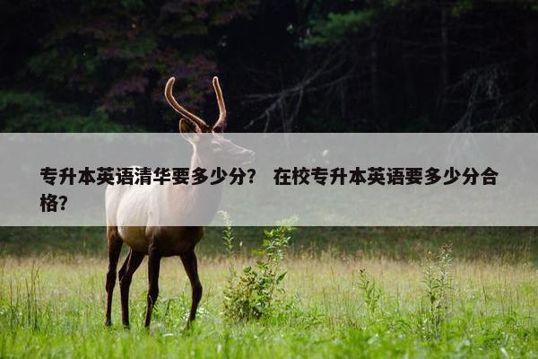 专升本英语清华要多少分? 在校专升本英语要多少分合格?