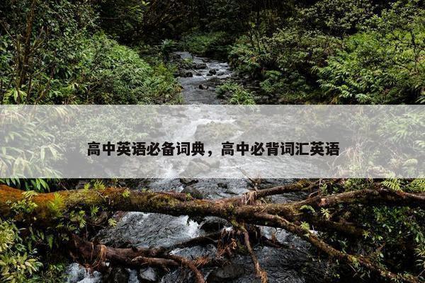 高中英语必备词典,高中必背词汇英语