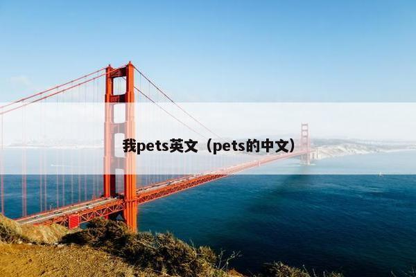 我pets英文(pets的中文)