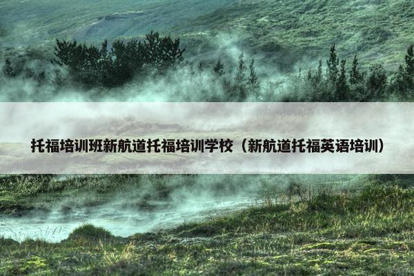 托福培训班新航道托福培训学校(新航道托福英语培训)