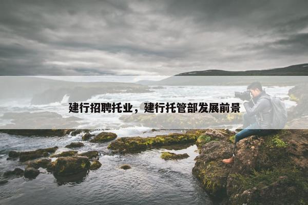 建行招聘托业,建行托管部发展前景