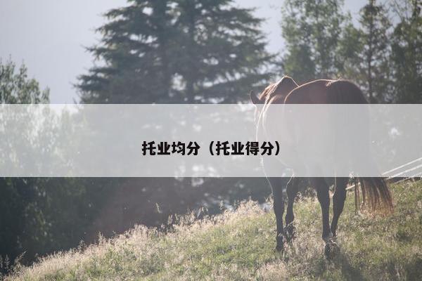 托业均分(托业得分)