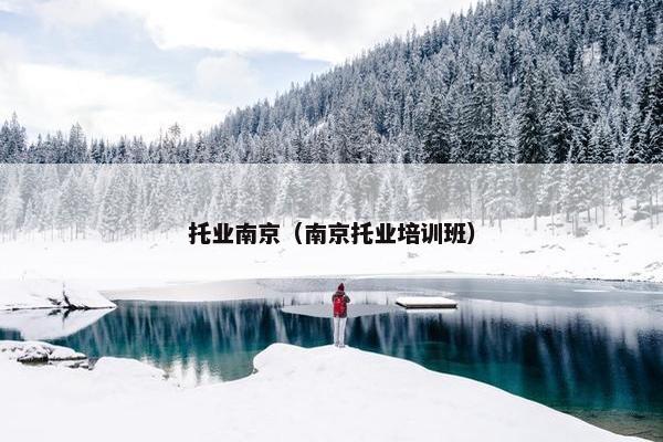 托业南京(南京托业培训班)