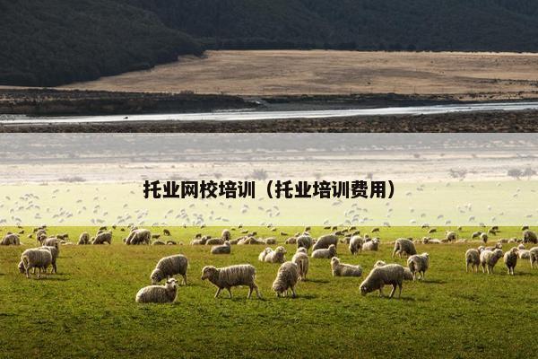 托业网校培训（托业培训费用）