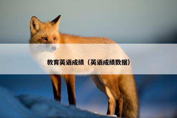 教育英语成绩（英语成绩数据）