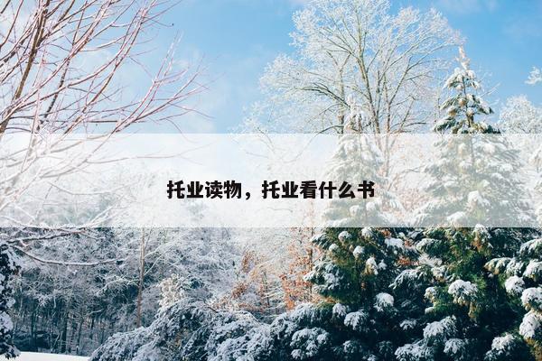 托业读物,托业看什么书