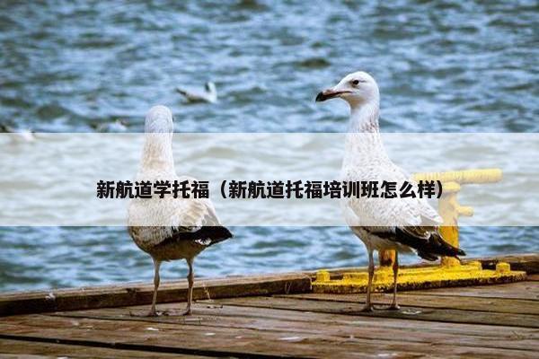 新航道学托福(新航道托福培训班怎么样)
