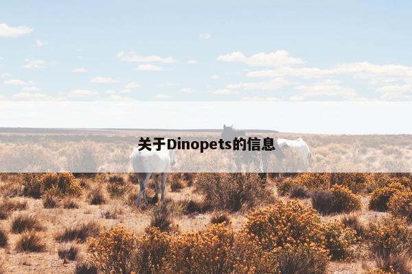 关于Dinopets的信息
