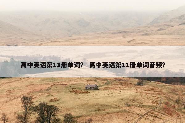 高中英语第11册单词? 高中英语第11册单词音频?