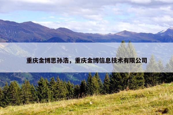 重庆金博思孙浩,重庆金博信息技术有限公司 重庆金博思孙浩,重庆金博信息技术有限公司