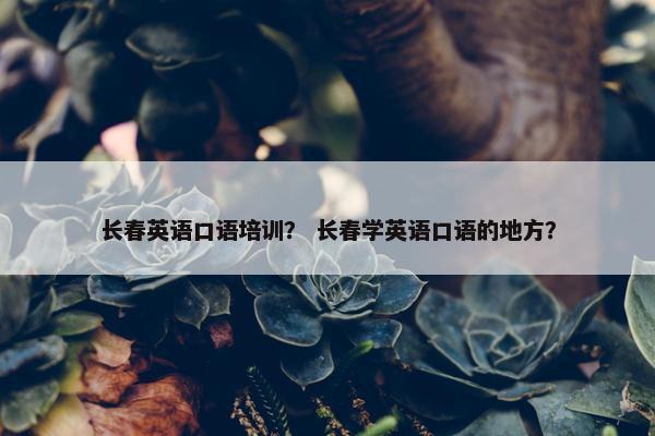 长春英语口语培训? 长春学英语口语的地方?