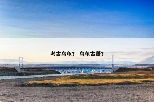 考古乌龟? 乌龟古董?