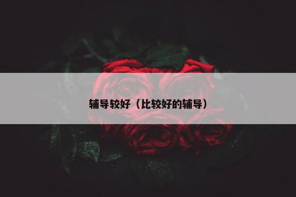 辅导较好(比较好的辅导)