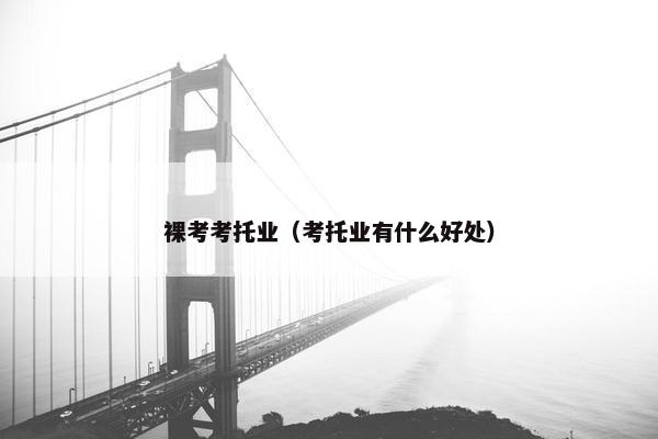 裸考考托业(考托业有什么好处)
