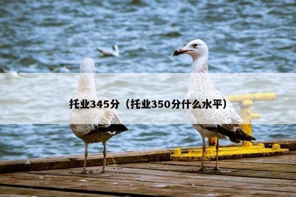 托业345分(托业350分什么水平)