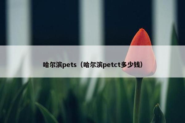 哈尔滨pets（哈尔滨petct多少钱）