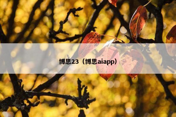 博思23(博思aiapp)