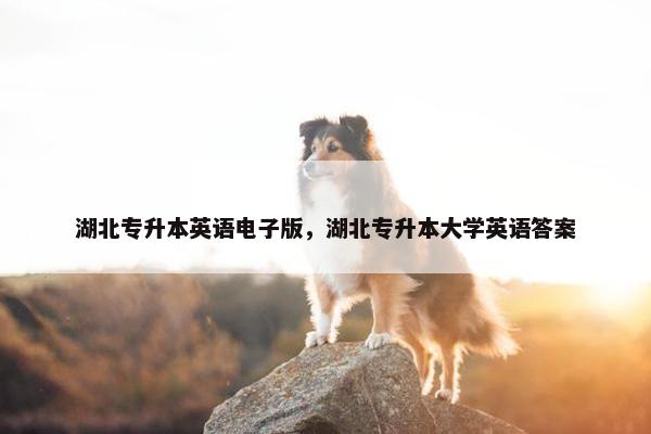 湖北专升本英语电子版,湖北专升本大学英语答案