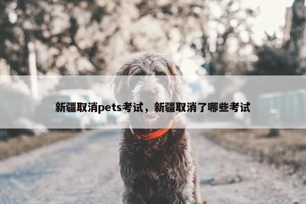 新疆取消pets考试，新疆取消了哪些考试