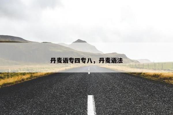 丹麦语专四专八，丹麦语法