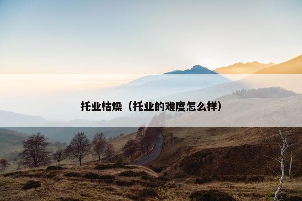 托业枯燥（托业的难度怎么样）