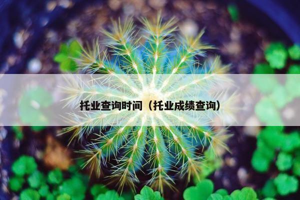 托业查询时间（托业成绩查询）
