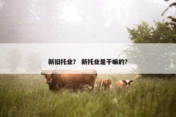 新旧托业? 新托业是干嘛的?