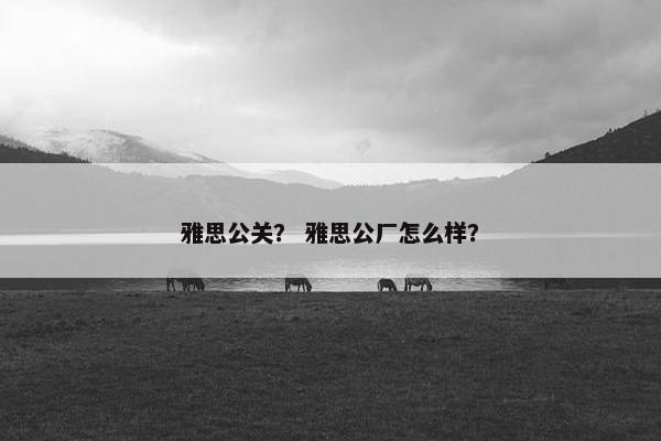 雅思公关? 雅思公厂怎么样?