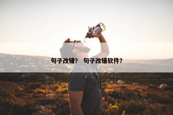 句子改错？ 句子改错软件？