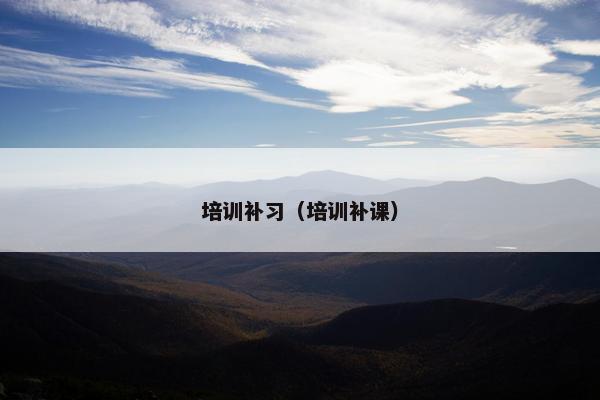 培训补习(培训补课)