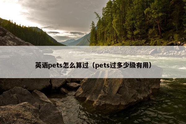 英语pets怎么算过(pets过多少级有用)
