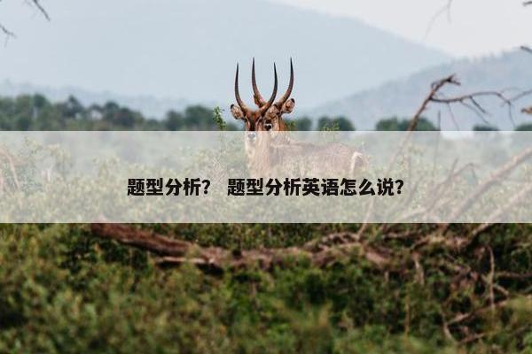 题型分析? 题型分析英语怎么说?