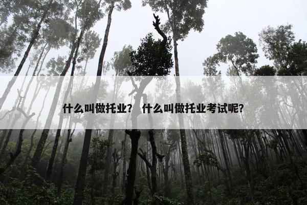 什么叫做托业? 什么叫做托业考试呢?