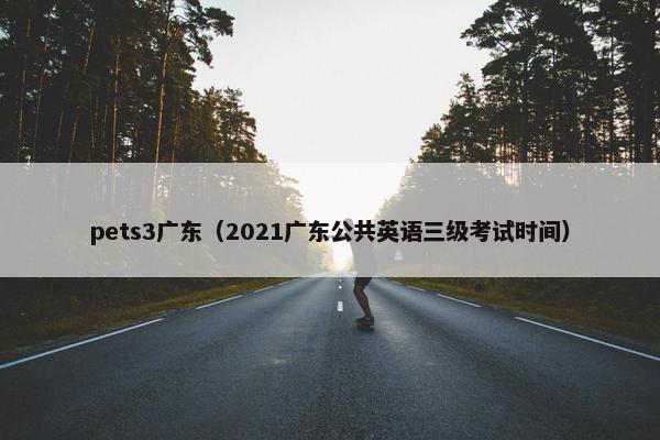 pets3广东(2021广东公共英语三级考试时间)